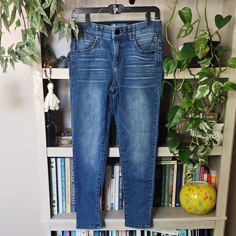 Democracy "Ab" Solution Petite Ankle Skimmer Jean
